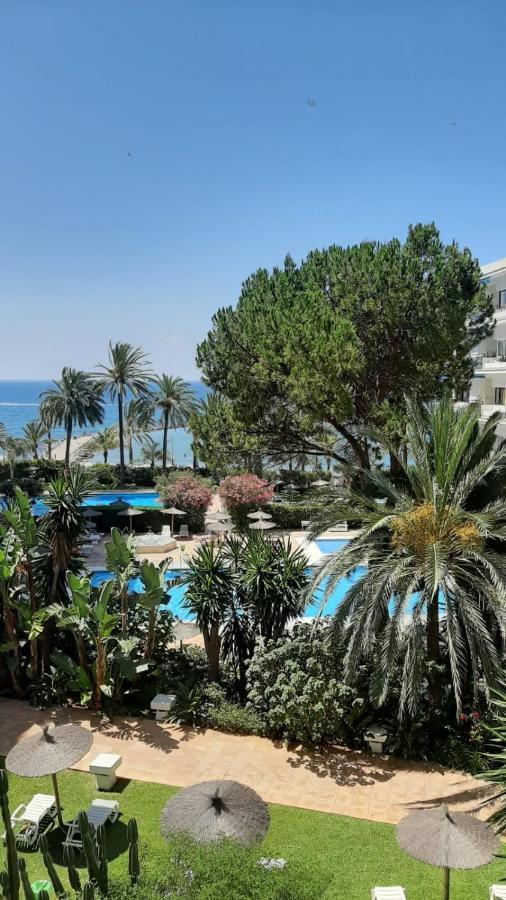 Skol 235b By Completely Marbella